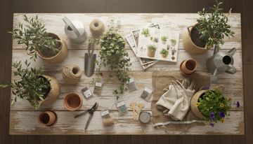 Lidl Plantes Extérieur 2026 : guide d'achat, dates